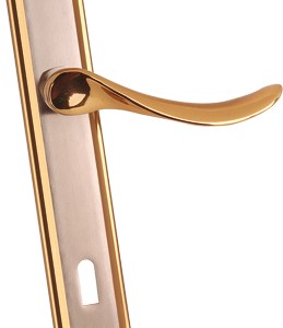 Aslı Door Handle
