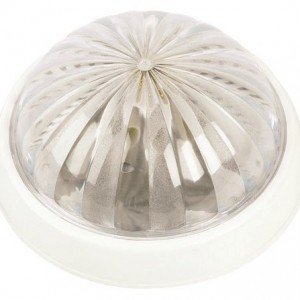 PAPATYA GLOBE WHITE